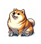 ドット絵 太っちょ柴犬（個別スタンプ：8）