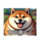 ドット絵 太っちょ柴犬（個別スタンプ：10）