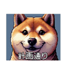 ドット絵 太っちょ柴犬（個別スタンプ：13）