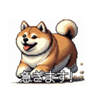 ドット絵 太っちょ柴犬（個別スタンプ：19）