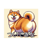 ドット絵 太っちょ柴犬（個別スタンプ：23）