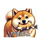 ドット絵 太っちょ柴犬（個別スタンプ：30）