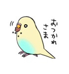 セキセイインコクリームハルクイン（個別スタンプ：4）