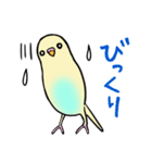 セキセイインコクリームハルクイン（個別スタンプ：11）