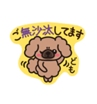 ペキニーズ 綿あめ犬 もふもふ茶色わんこ（個別スタンプ：3）