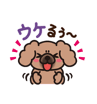 ペキニーズ 綿あめ犬 もふもふ茶色わんこ（個別スタンプ：4）