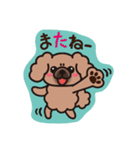 ペキニーズ 綿あめ犬 もふもふ茶色わんこ（個別スタンプ：9）