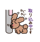 ペキニーズ 綿あめ犬 もふもふ茶色わんこ（個別スタンプ：26）