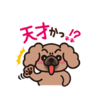 ペキニーズ 綿あめ犬 もふもふ茶色わんこ（個別スタンプ：27）