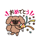 ペキニーズ 綿あめ犬 もふもふ茶色わんこ（個別スタンプ：36）