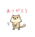 スーパー柴犬ちゃん 3（個別スタンプ：2）