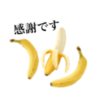 【敬語】 バナナです（個別スタンプ：15）