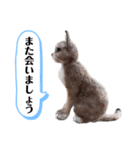 羊毛フェルト★にゃんこスタンプ（個別スタンプ：13）