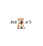 ドット絵 仔犬な柴犬 ちいさいスタンプ（個別スタンプ：1）