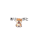 ドット絵 仔犬な柴犬 ちいさいスタンプ（個別スタンプ：3）