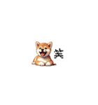 ドット絵 仔犬な柴犬 ちいさいスタンプ（個別スタンプ：9）