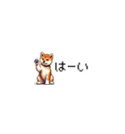 ドット絵 仔犬な柴犬 ちいさいスタンプ（個別スタンプ：10）