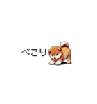 ドット絵 仔犬な柴犬 ちいさいスタンプ（個別スタンプ：11）