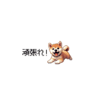 ドット絵 仔犬な柴犬 ちいさいスタンプ（個別スタンプ：17）