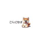 ドット絵 仔犬な柴犬 ちいさいスタンプ（個別スタンプ：24）