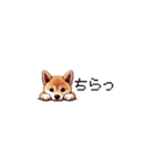 ドット絵 仔犬な柴犬 ちいさいスタンプ（個別スタンプ：31）