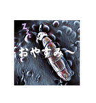 トビムシの世界3（個別スタンプ：5）