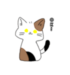 Too cute cat2（個別スタンプ：7）