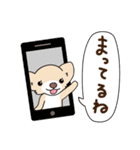 ふわっとチワワちゃん（個別スタンプ：39）