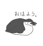 ヒゲペンギンといっしょ（個別スタンプ：13）