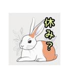 日常で頻繁に使えるかわいいうさぎ（個別スタンプ：13）