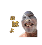 渡邉 照正（24）（個別スタンプ：1）