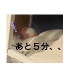 渡邉 照正（24）（個別スタンプ：4）