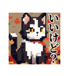 ドット絵風な猫の可愛いスタンプ 第二弾（個別スタンプ：15）