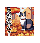 ドット絵風な猫の可愛いスタンプ 第二弾（個別スタンプ：22）