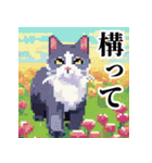 ドット絵風な猫の可愛いスタンプ 第二弾（個別スタンプ：24）