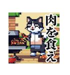 ドット絵風な猫の可愛いスタンプ 第二弾（個別スタンプ：36）