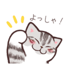 【連絡にも使いやすい！】猫スタンプ（個別スタンプ：8）