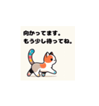 虹ねこオリジナル恰好(年配者向け)（個別スタンプ：1）