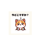 虹ねこオリジナル恰好(年配者向け)（個別スタンプ：15）