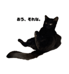 黒猫諭吉のゆるい生活（個別スタンプ：1）