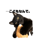 黒猫諭吉のゆるい生活（個別スタンプ：3）