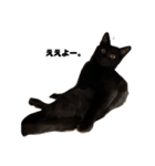 黒猫諭吉のゆるい生活（個別スタンプ：4）