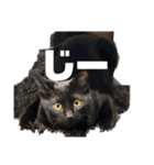 黒猫諭吉のゆるい生活（個別スタンプ：19）