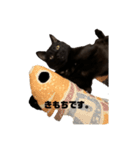黒猫諭吉のゆるい生活（個別スタンプ：21）