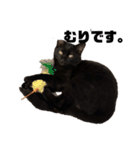 黒猫諭吉のゆるい生活（個別スタンプ：22）