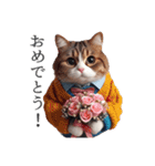 服を着た猫 Cats in Clothes（個別スタンプ：9）