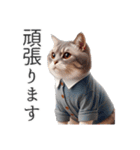 服を着た猫 Cats in Clothes（個別スタンプ：19）