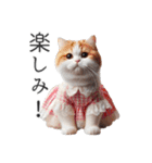 服を着た猫 Cats in Clothes（個別スタンプ：23）