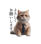 服を着た猫 Cats in Clothes（個別スタンプ：34）