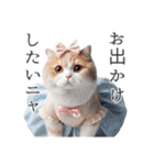 服を着た猫 Cats in Clothes（個別スタンプ：39）